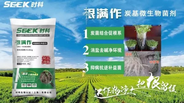 木栓病的秋月梨是什么原因引起的(4)