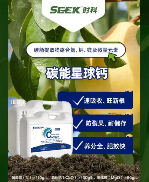 木栓病的秋月梨是什么原因引起的(6)