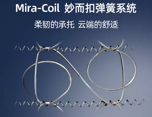 席梦思是什么时候进入中国的(4)