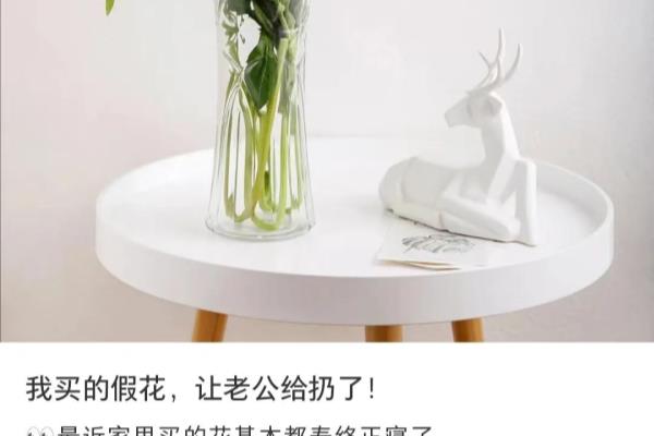 家里可以放假花吗有什么说法吗.