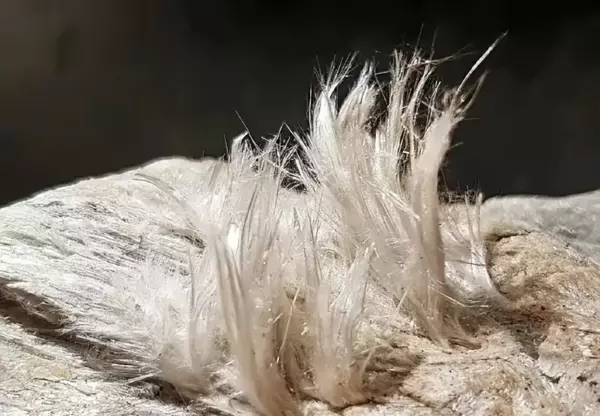 石棉水泥板有害吗(3)