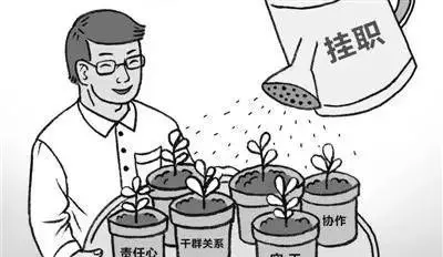 挂职网点副职有什么好处吗(3)
