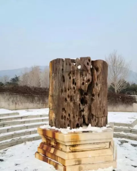 硅化木有辐射吗佩戴对人有危害吗(3)