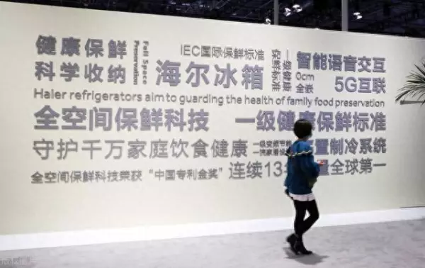 西门子冰柜和海尔冰柜哪个好(1)