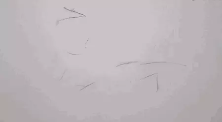 擦木地板用什么擦最干净不沾灰尘(21)