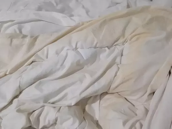 被子发霉了怎么办晒太阳可以嘛(1)