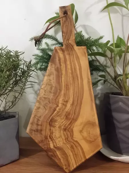 橄榄木为什么不吉利(11)