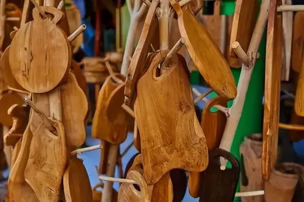 橄榄木为什么不吉利(12)