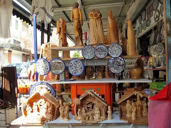 橄榄木为什么不吉利(17)