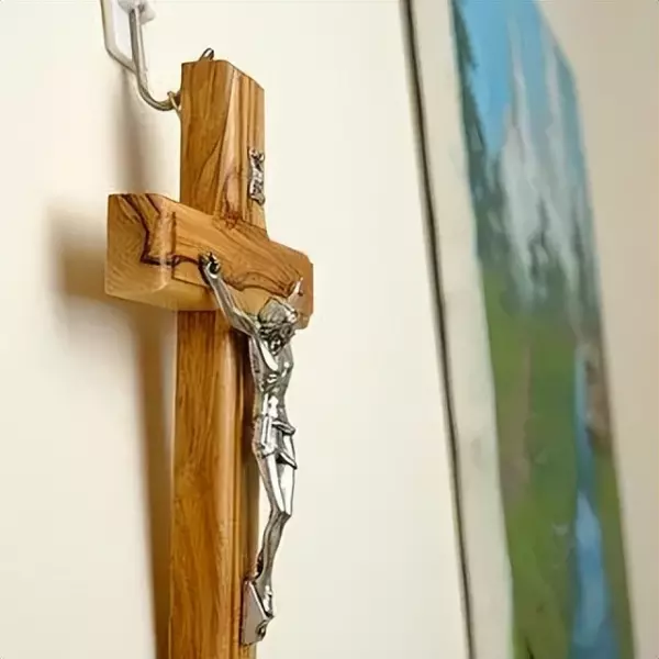 橄榄木为什么不吉利(5)