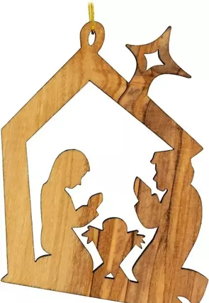 橄榄木为什么不吉利(8)