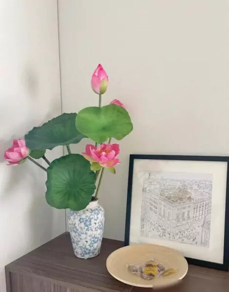 家里能放假花吗对风水有影响吗(3)