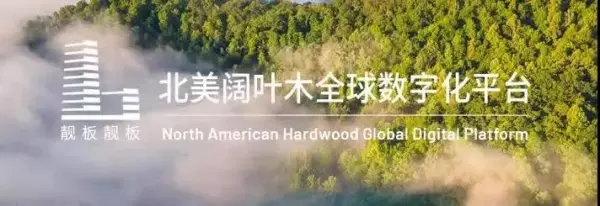 木材价格表什么软件好用(2)