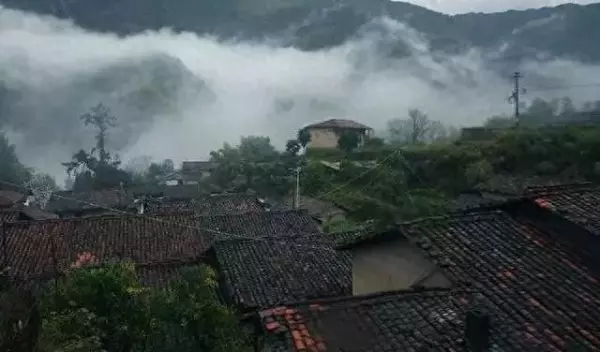 屋漏偏逢连夜雨下一句怎么接(1)