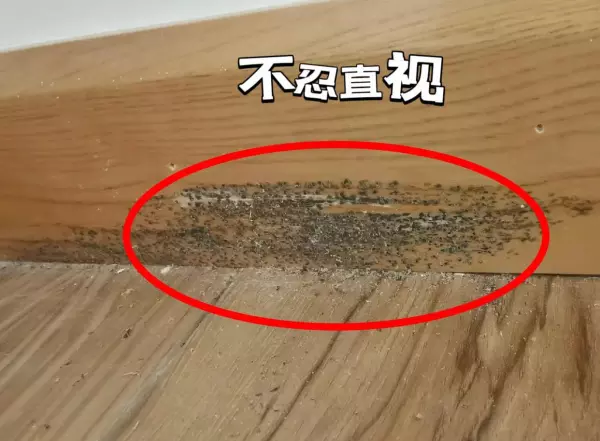 墙角线装修哪种效果最好(12)