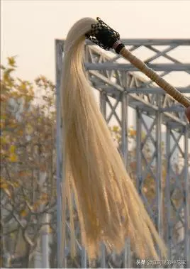 陈设品宜布置在什么点位(5)