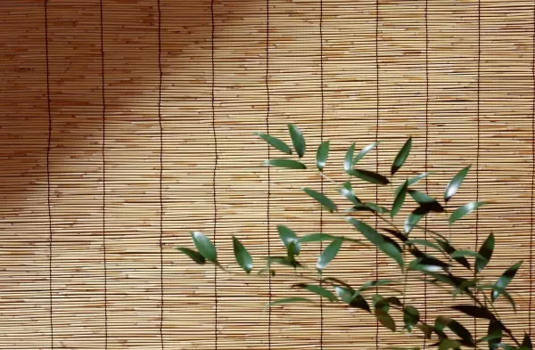 陈设品宜布置在什么点位(8)