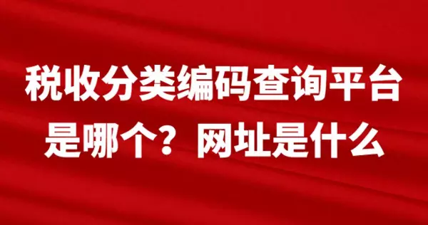 投影仪灯泡属于什么税收分类编码(1)
