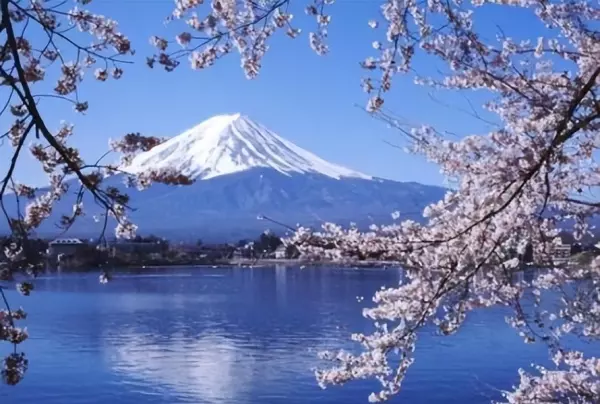 日本永久居住权和国籍的区别(1)