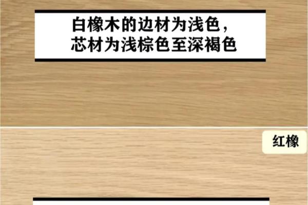 柏木家具和橡木家具哪个好.