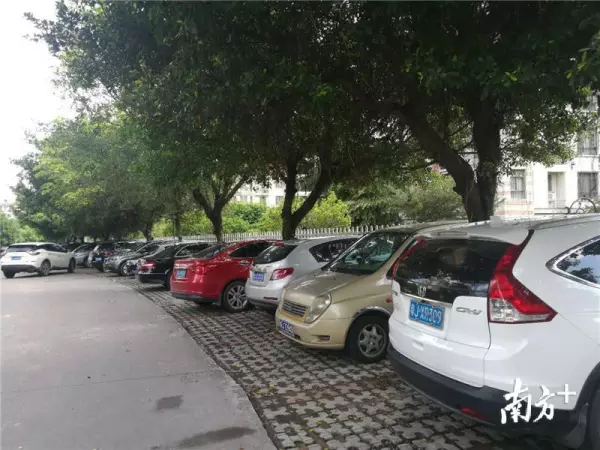 鹤山碧桂园属于哪个社区(3)