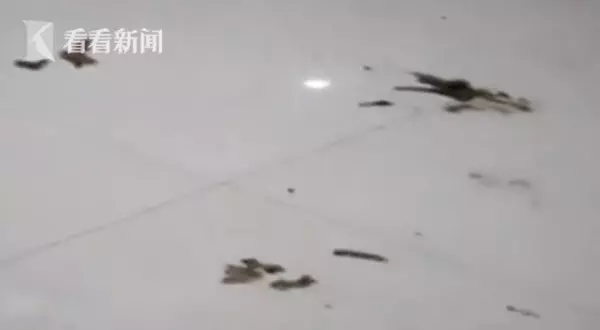 香榭丽景的房子怎么样(2)