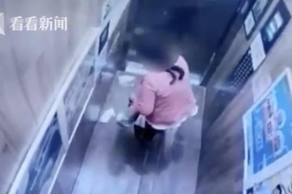 香榭丽景的房子怎么样.