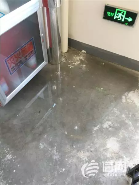 郁金香岸属于什么街道(4)