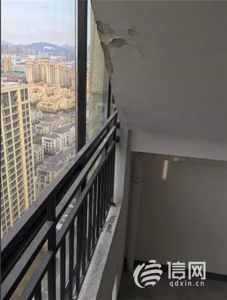 郁金香岸属于什么街道(5)