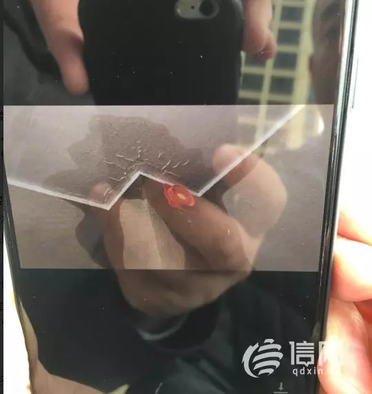 郁金香岸属于什么街道(6)