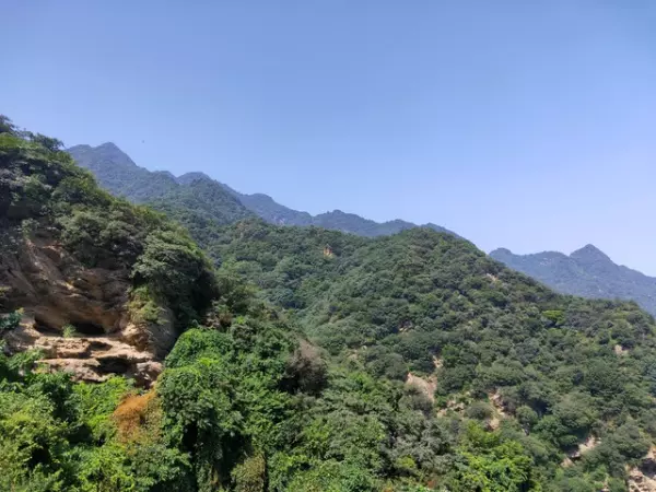 兴隆房价暴跌的原因(7)