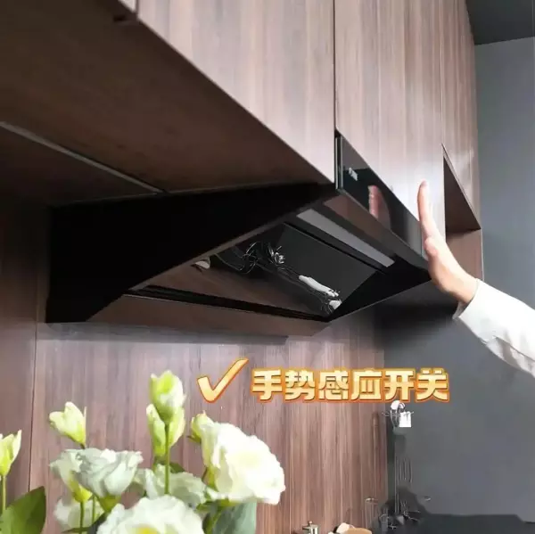 卡萨帝油烟机和老板油烟机哪个好(12)