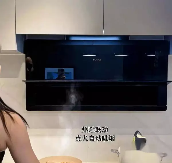 卡萨帝油烟机和老板油烟机哪个好(5)