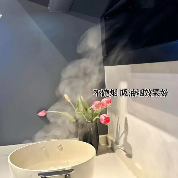 卡萨帝油烟机和老板油烟机哪个好(9)