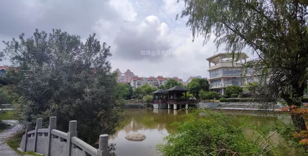 合肥柏景湾是高档小区吗(14)