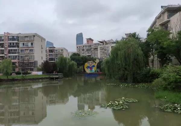 合肥柏景湾是高档小区吗(15)