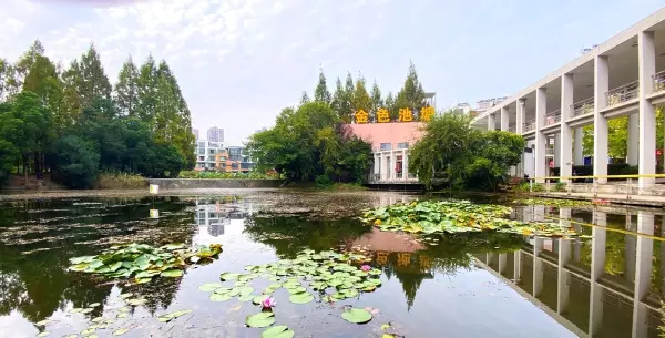 合肥柏景湾是高档小区吗(8)