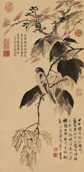 梧桐木和泡桐木的区别(8)
