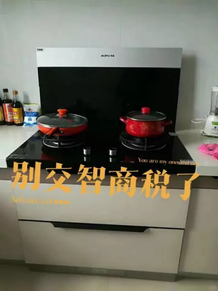 诺孚集成灶怎么没有了(2)