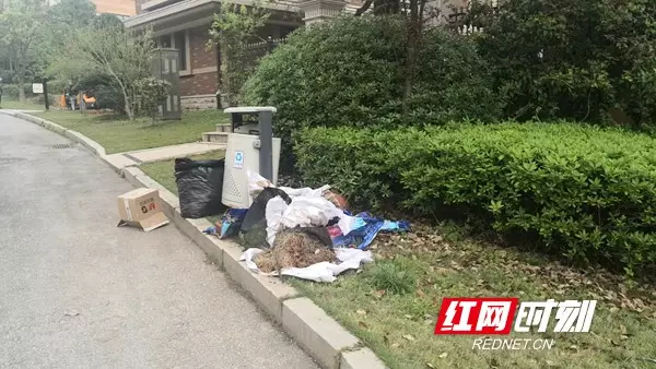 岳麓山公馆别墅为啥停售(3)