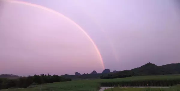内吸性最强的杀虫农药排名(3)