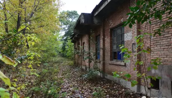 前进家具厂家在哪里(14)