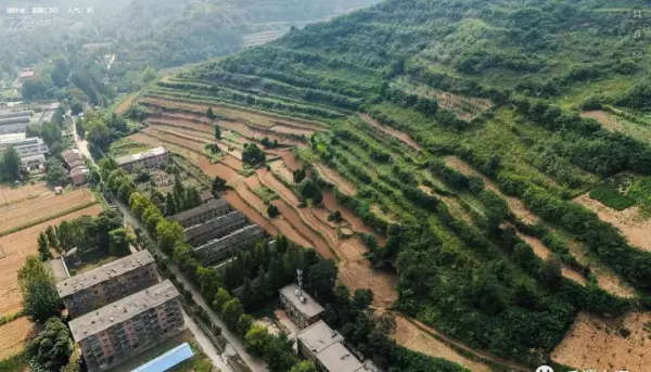 前进家具厂家在哪里(41)