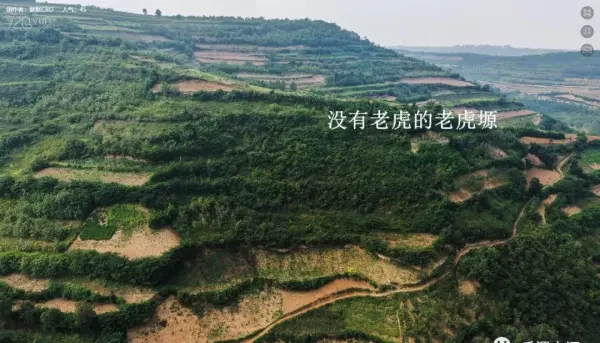 前进家具厂家在哪里(46)