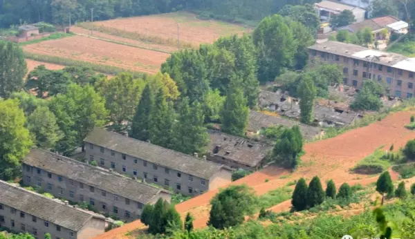 前进家具厂家在哪里(52)