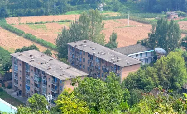 前进家具厂家在哪里(54)
