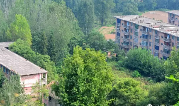 前进家具厂家在哪里(56)