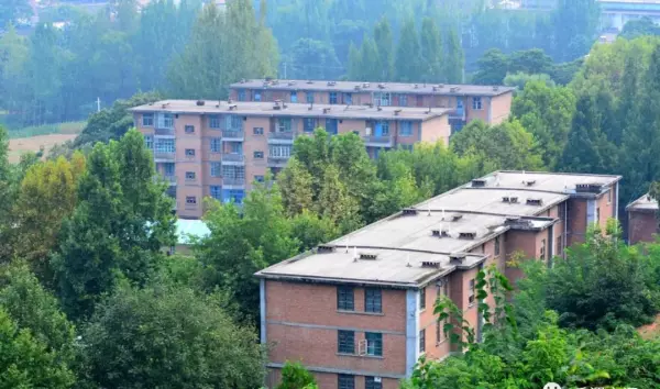 前进家具厂家在哪里(57)