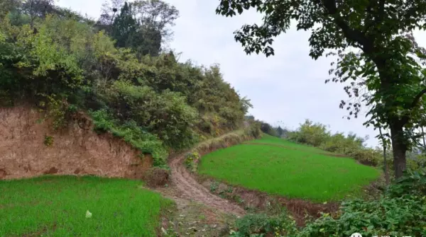 前进家具厂家在哪里(62)