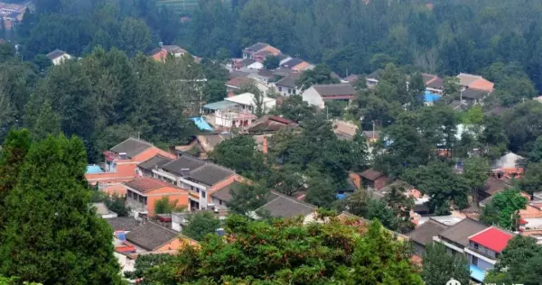 前进家具厂家在哪里(63)
